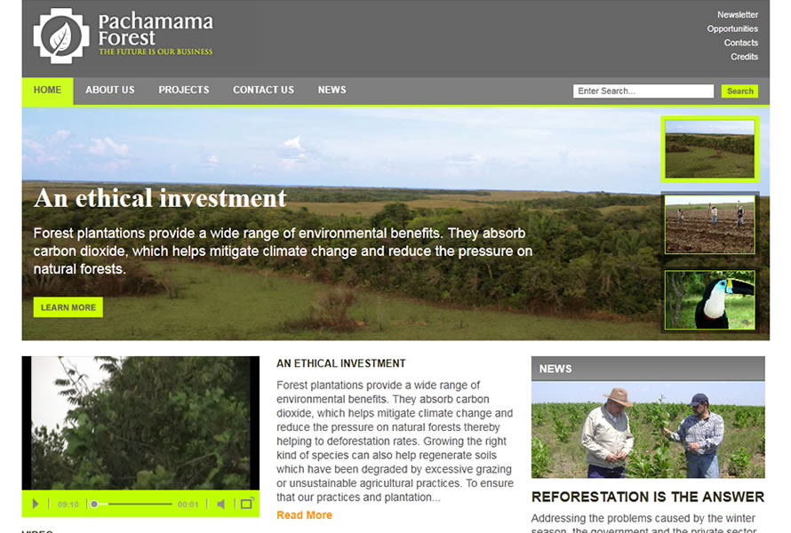 Pachamama Forest